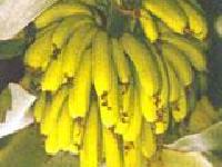 Banan-wich (Råvegansk)